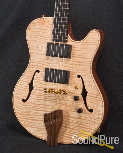 Buscarino Starlight Archtop Guitar SP07116175 — image 11