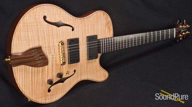 Buscarino Starlight Archtop Guitar SP07116175 — image 12