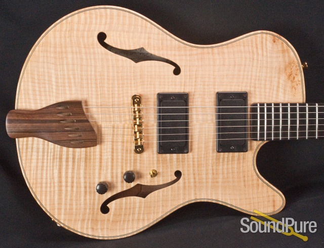 Buscarino Starlight Archtop Guitar SP07116175 — image 14