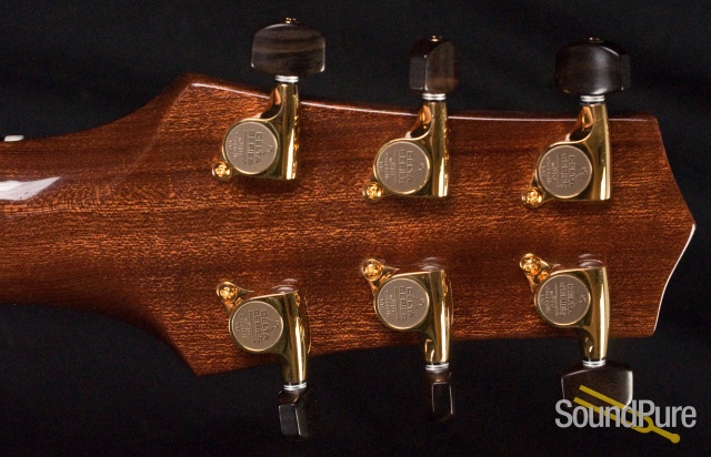 Buscarino Starlight Archtop Guitar SP07116175 — image 16