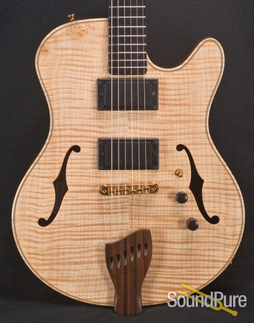 Buscarino Starlight Archtop Guitar SP07116175 — image 1
