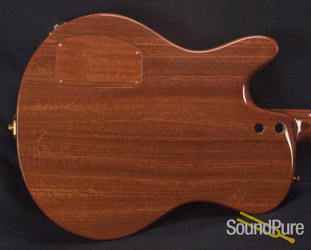 Buscarino Starlight Archtop Guitar SP07116175 — image 18
