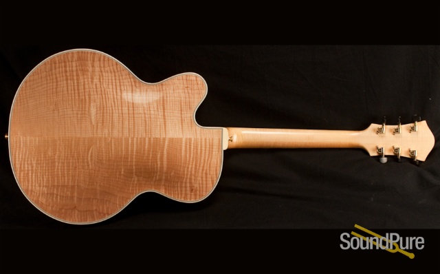 Buscarino Artisan Archtop Guitar - USED — image 4