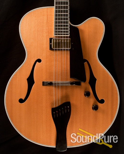 Buscarino Artisan Archtop Guitar - USED — image 5