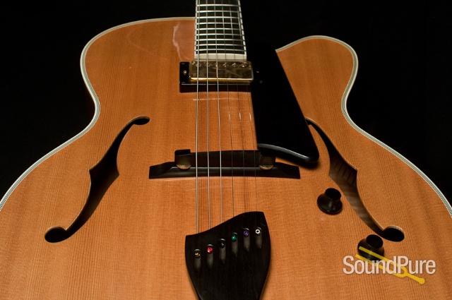 Buscarino Artisan Archtop Guitar - USED — image 12