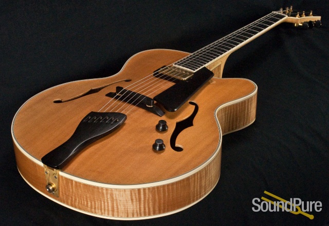 Buscarino Artisan Archtop Guitar - USED — image 17