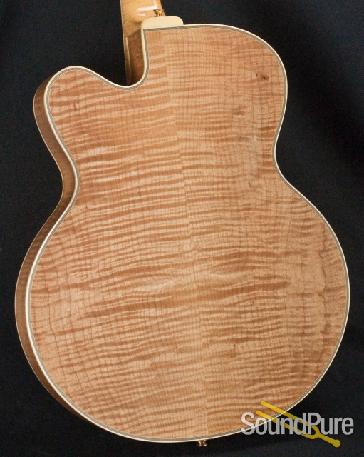 Buscarino Artisan Archtop Guitar - USED — image 19
