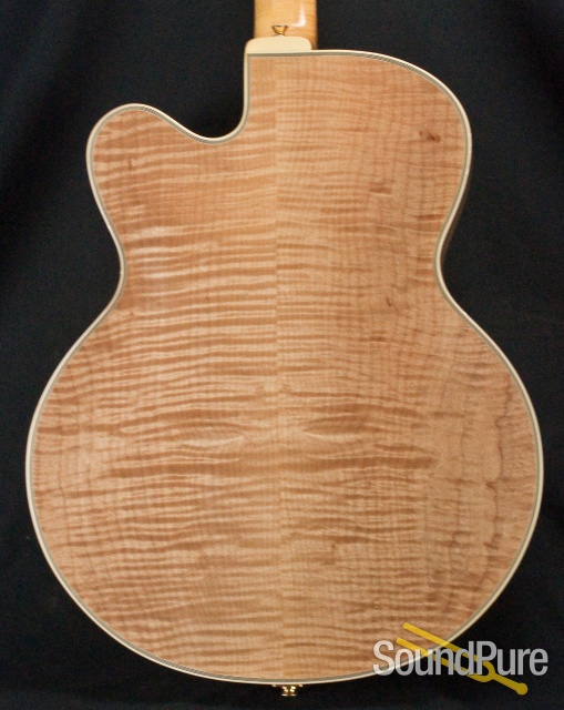 Buscarino Artisan Archtop Guitar - USED — image 20