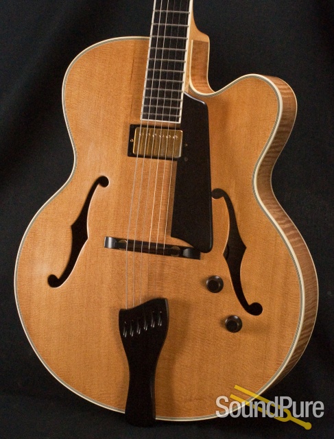 Buscarino Artisan Archtop Guitar - USED — image 21