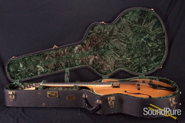 Buscarino Artisan Archtop Guitar - USED — image 23