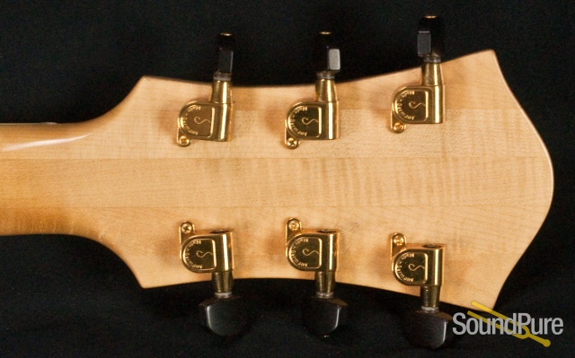 Buscarino Artisan Archtop Guitar - USED — image 24