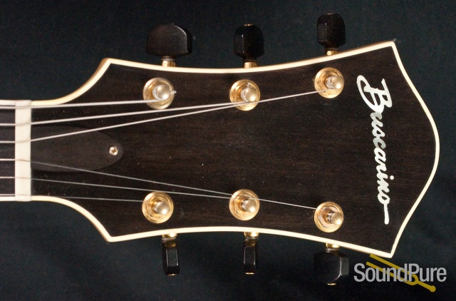 Buscarino Artisan Archtop Guitar - USED — image 28