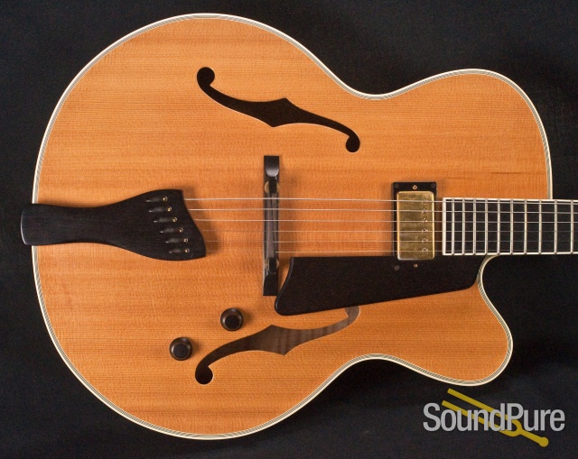 Buscarino Artisan Archtop Guitar - USED — image 29