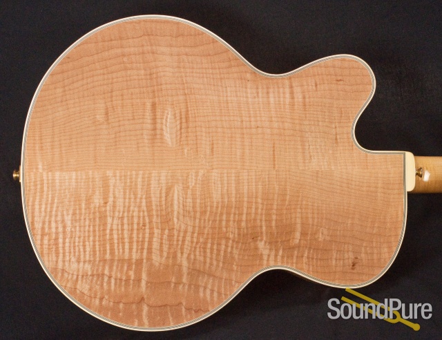 Buscarino Artisan Archtop Guitar - USED — image 31
