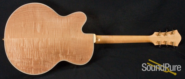 Buscarino Artisan Archtop Guitar - USED — image 32