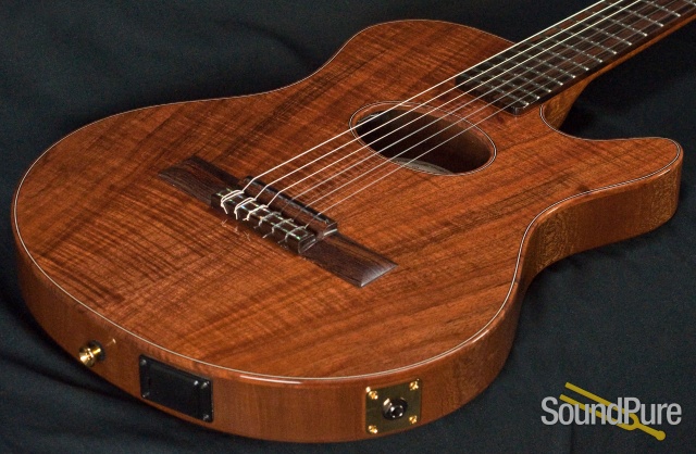 Buscarino Starlight Nylon Acoustic Electric Guitar — image 2