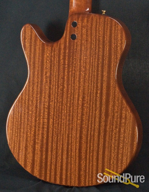 Buscarino Starlight Nylon Acoustic Electric Guitar — image 4
