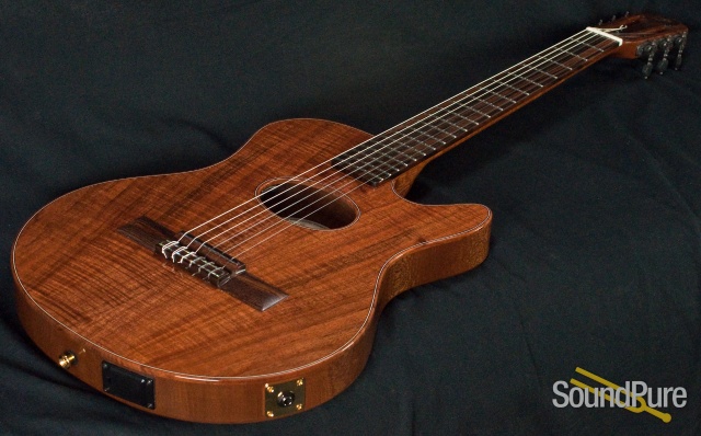 Buscarino Starlight Nylon Acoustic Electric Guitar — image 5