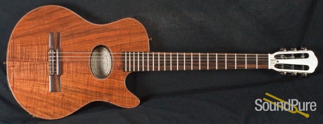 Buscarino Starlight Nylon Acoustic Electric Guitar — image 10