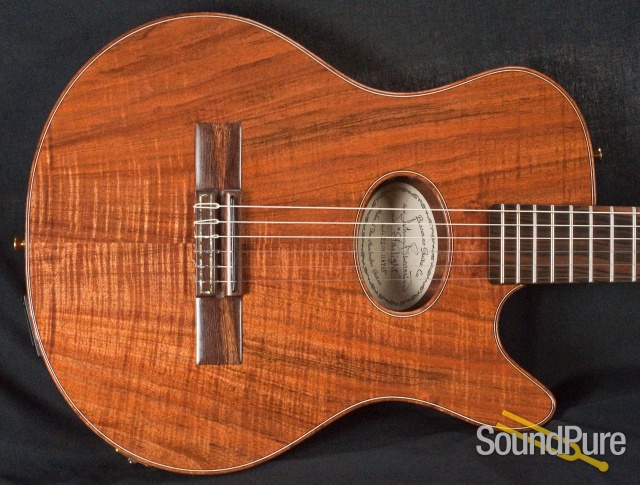 Buscarino Starlight Nylon Acoustic Electric Guitar — image 15