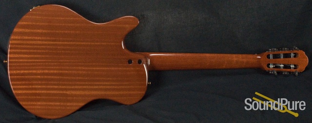 Buscarino Starlight Nylon Acoustic Electric Guitar — image 18