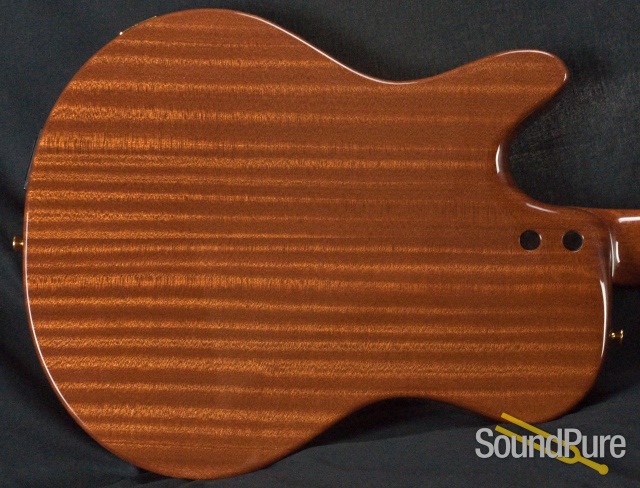 Buscarino Starlight Nylon Acoustic Electric Guitar — image 19