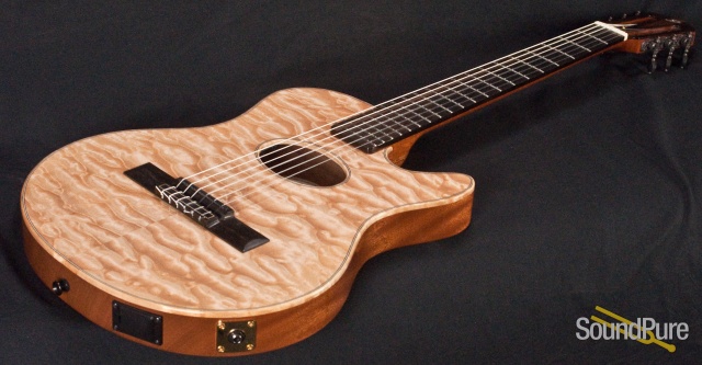 Buscarino Starlight Nylon Acoustic Electric Guitar-USED — image 3