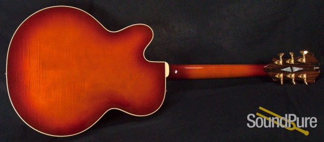 D'Aquisto New Yorker Electric Archtop Guitar Sunburst - USED — image 17