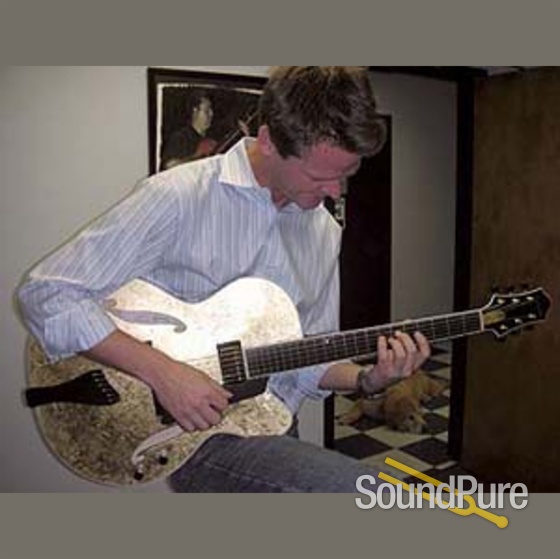 Benedetto Bravo One-off Gold Leaf S1046 Archtop Guitar — image 8