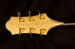 1320-Benedetto_Bravo_One_off_Gold_Leaf_S1046_Archtop_Guitar-1273d1f4e5d-6.jpg