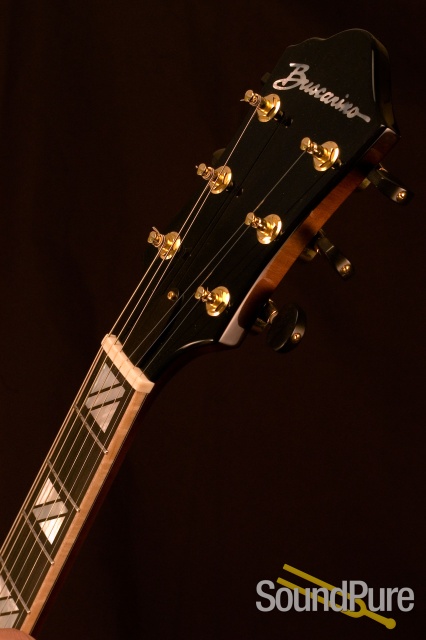 John Buscarino Corey Christiansen Model sn# SP0697107 Archtop Guitar — image 7