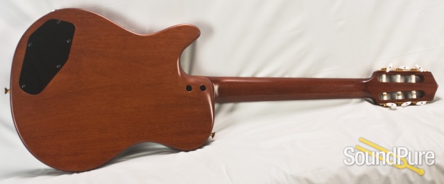 Buscarino Starlight Nylon String Maple Top Guitar - Used — image 17