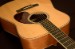1383-Morgan_DM_sn_1776_Acoustic_Guitar-1273d1f5e25-1e.jpg