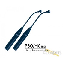 Earthworks P30/HCmp-B Periscope Series 30kHz Instrument Mic, Matched Pair (Hype Earthworks P30/HCmp-B Periscope Series 30kHz Instrument Mic, Matched Pair (Hype