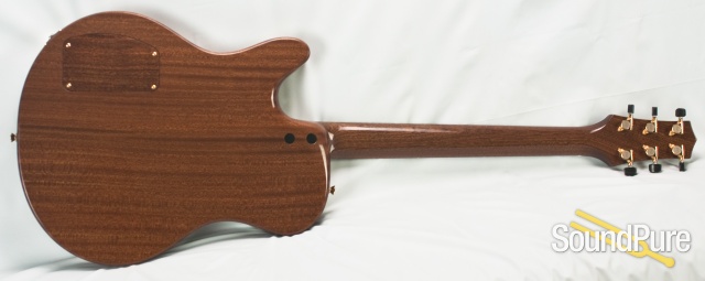 Buscarino Starlight Flame Maple Archtop Guitar #SP01117716 — image 17