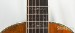 15403-washburn-ltd-ed-125th-anniv-r316swrk-206-of-250-used-152c7ebf7bd-27.jpg