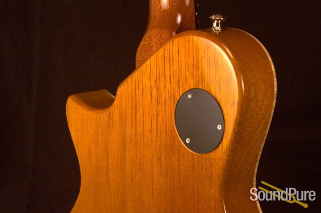 McInturff Carolina Standard Gold-Top Electric Guitar — image 8