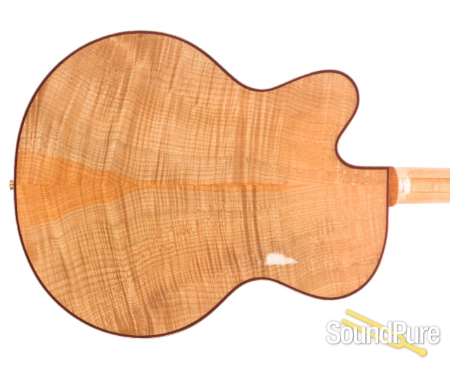 Buscarino Collector Series Custom Monarch 17" Archtop - Used — image 7