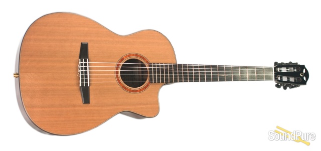 Goodall Palo Escrito Crossover Cutaway Nylon #PEXC6503 — image 4