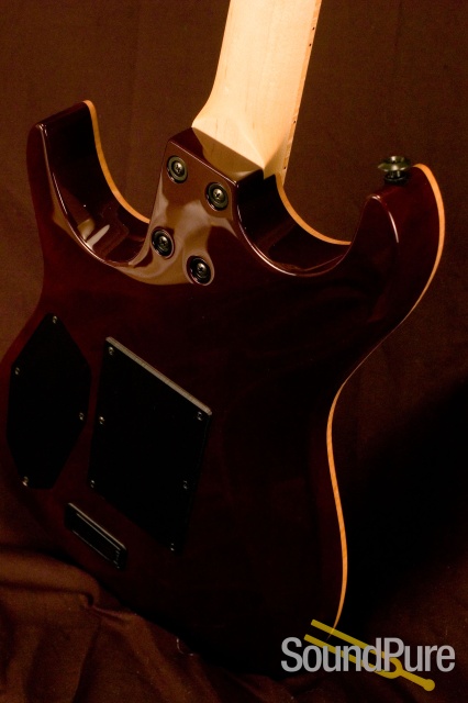 Zion Bent T Black Burst — image 6