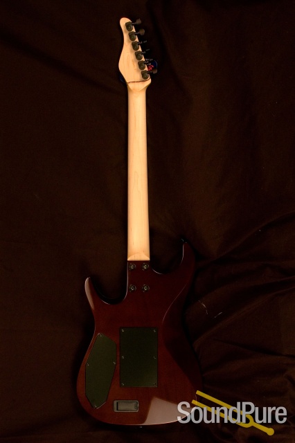 Zion Bent T Black Burst — image 7