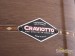 16922-craviotto-8x14-walnut-inlay-custom-snare-drum-155cba2ef8f-1e.jpg