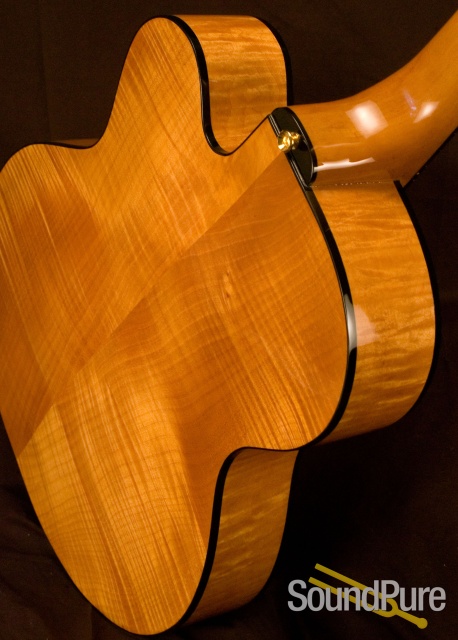 Jimmy Foster Avalon sn351 Archtop Guitar — image 6