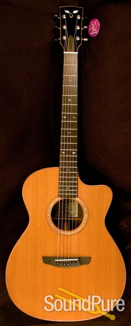 Goodall Grand Concert Cutaway RGCC5455 Acoustic Guitar — image 6
