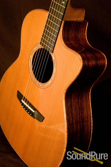 Goodall Grand Concert Cutaway RGCC5455 Acoustic Guitar — image 10