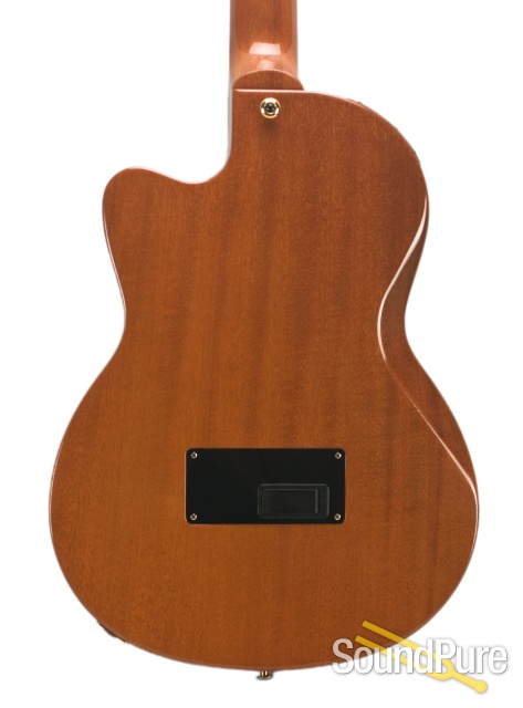 Gibson 2004 Chet Atkins CEC Classical Electric Guitar - Used — image 9