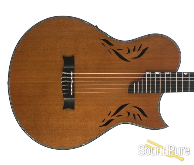 Plummer Classical Acoustic/Electric Guitar - Used — image 8