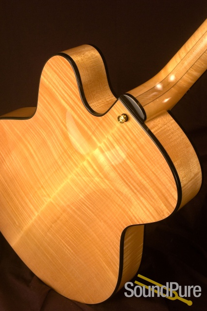 Ribbecke Halfling sn1106 Archtop Guitar — image 6