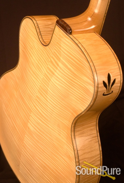 Buscarino Virtuoso SP0599708 Archtop Guitar — image 13