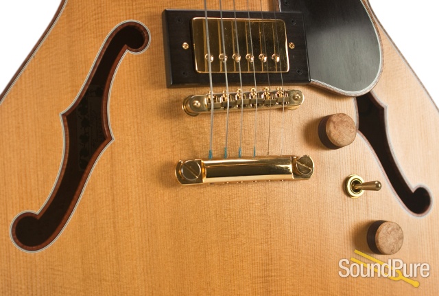 Ribbecke Testadura Thinline Semi-hollow Guitar #314 - Used — image 4